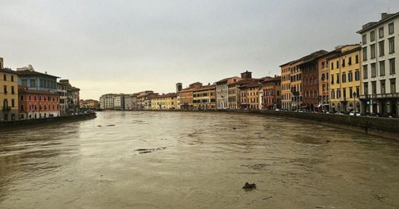 Arno a pisa