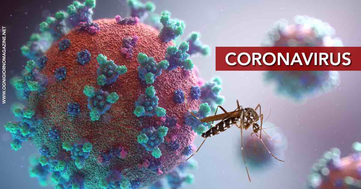 Le zanzare possono trasmettere il Coronavirus?