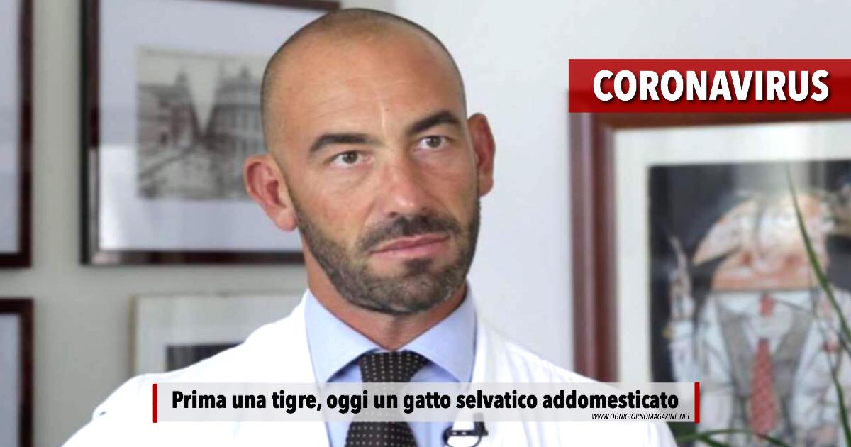 Bassetti, il Coronavirus da tigre a gatto