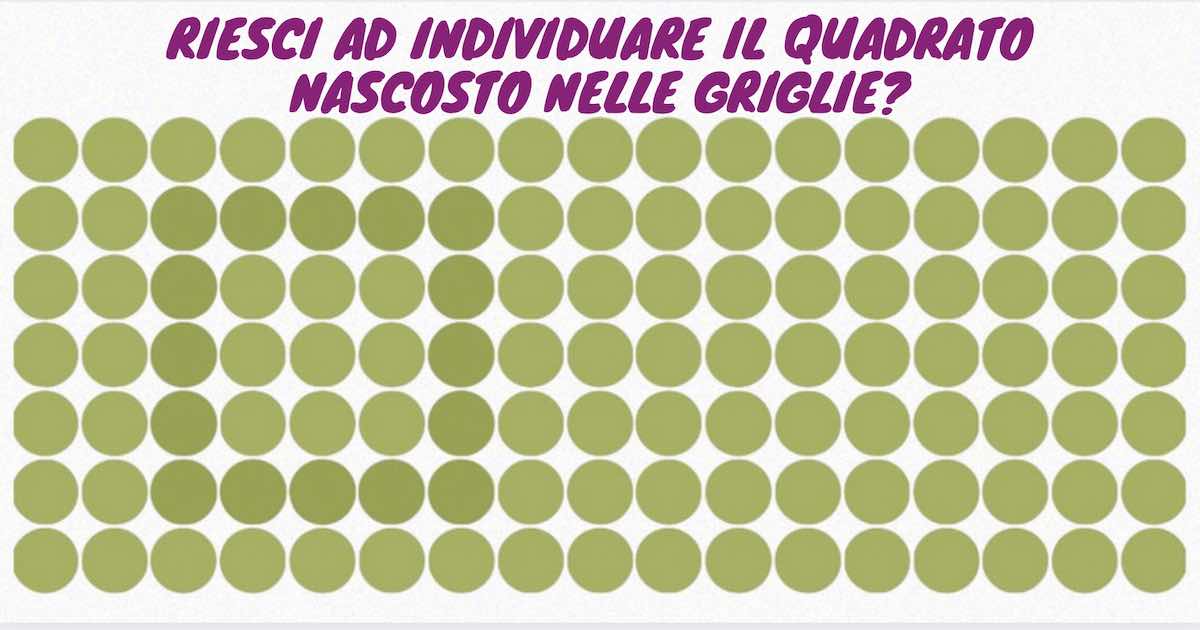 Sfida visiva- solo 1 persone su 10 riesce a trovare tutte le forme geometriche nascoste