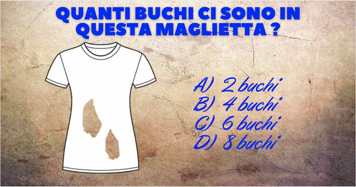 quanti buchi ci sono in questa maglietta?