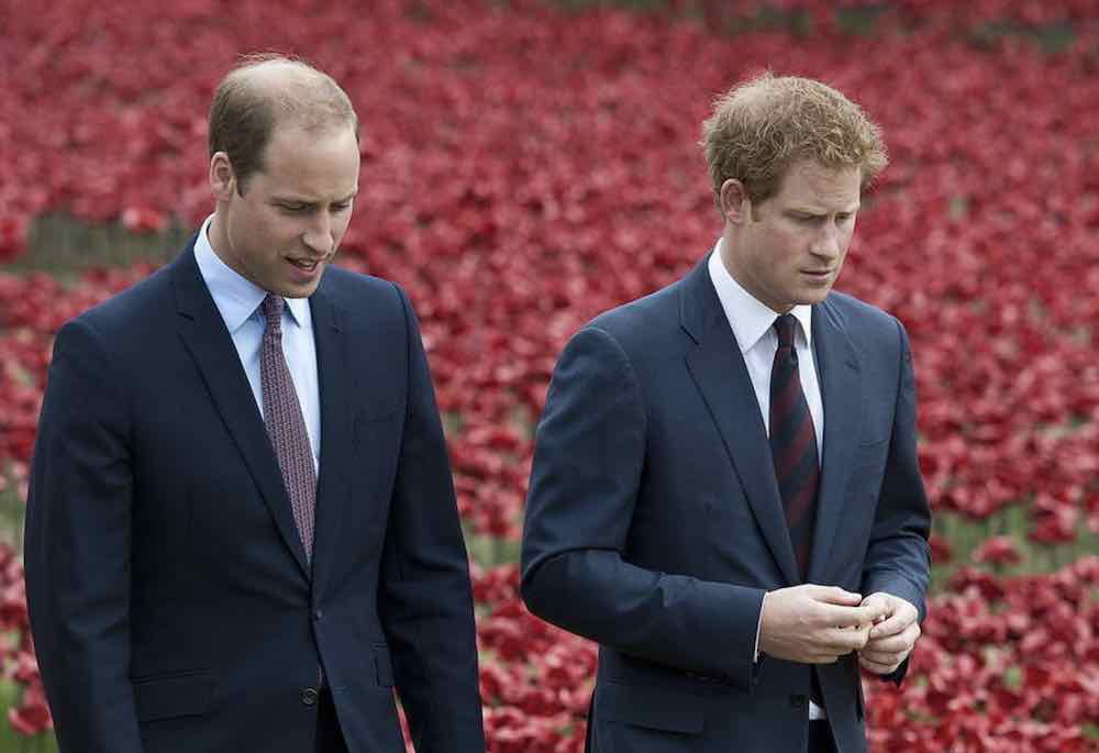 William e Harry lite violenta dopo funerale del nonno