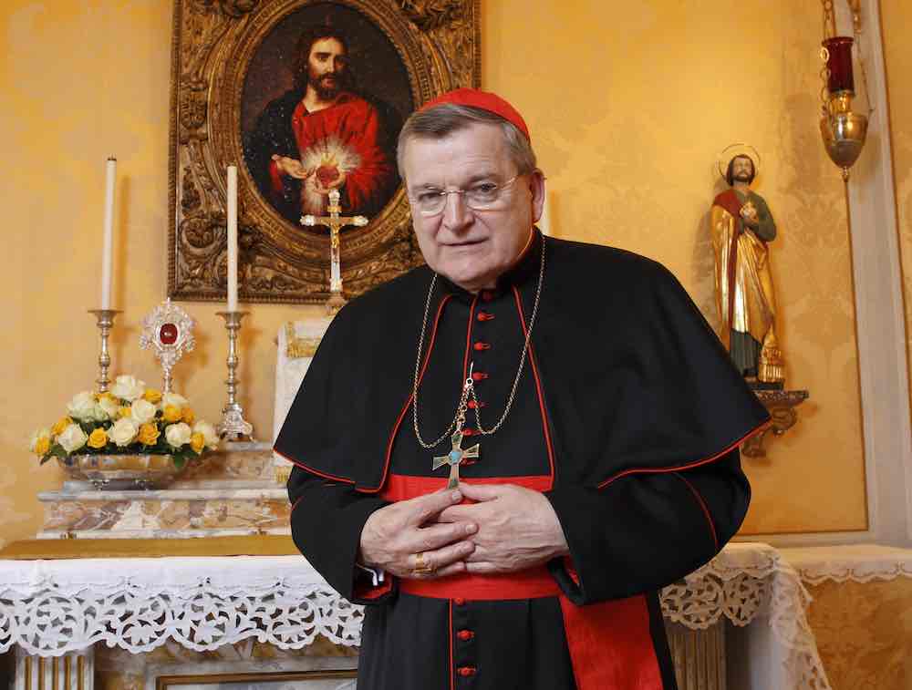 cardinale Burke terapia intensiva