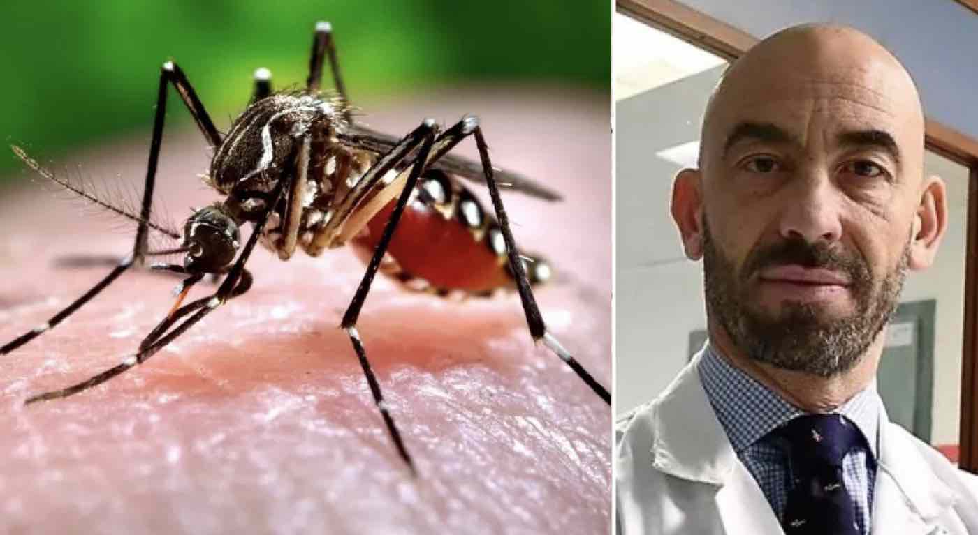 Alto rischio malattie infettive zanzare