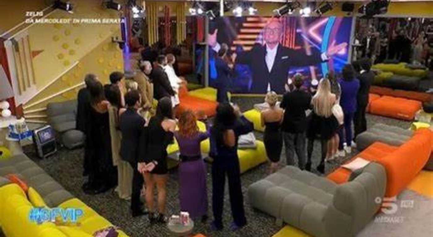 GF Vip 7