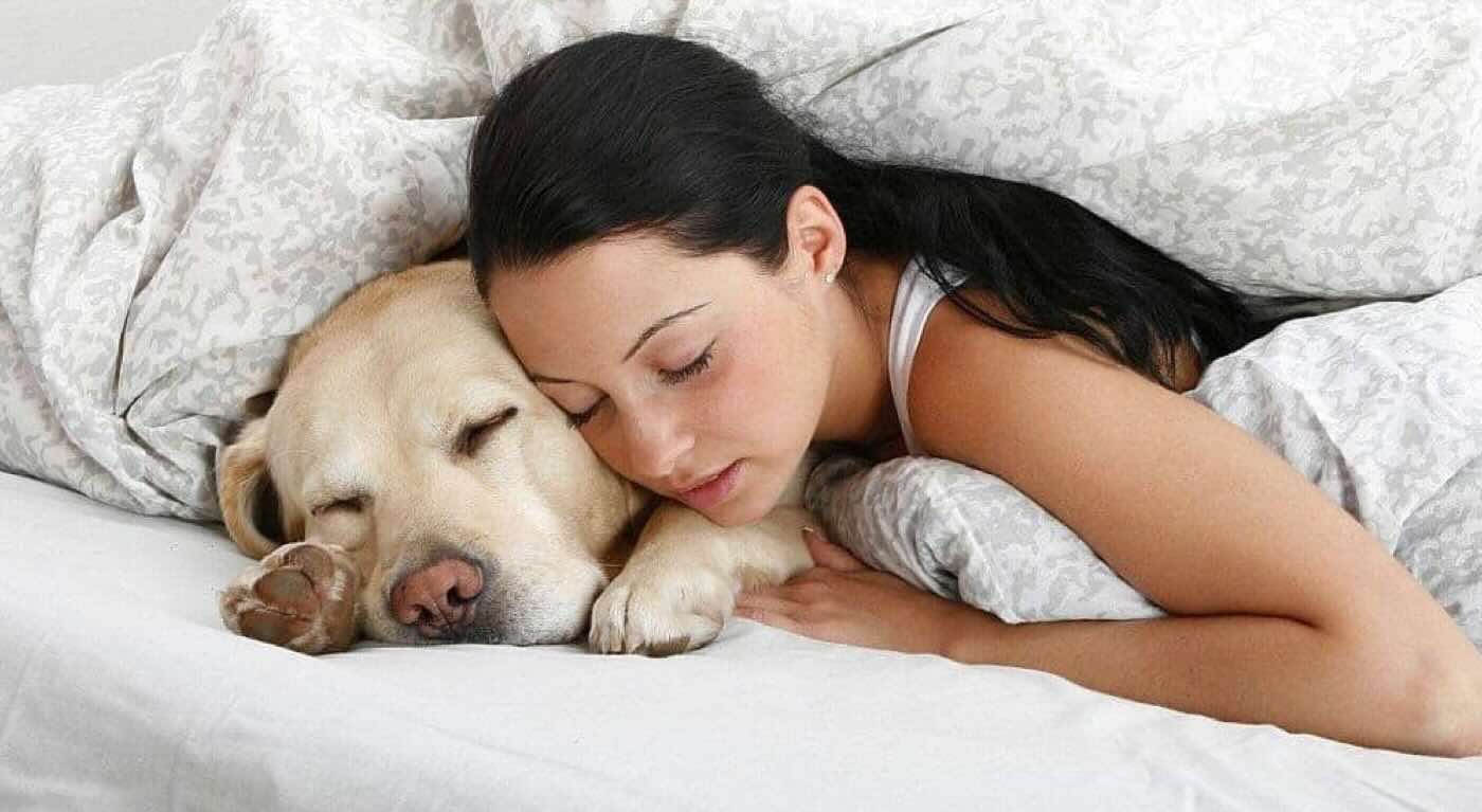dormire con animale domestico