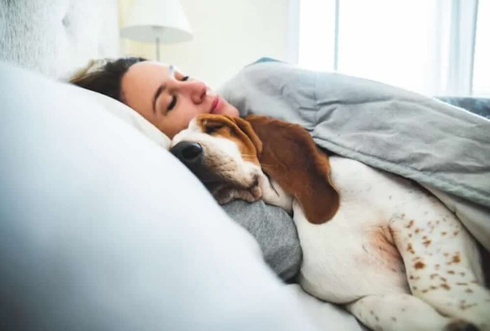 dormire col cane