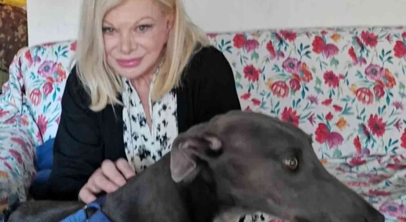 “Poveri cuccioli”. Sandra Milo, cosa è successo ai suoi cani: le dichiarazioni della figlia dell'attrice