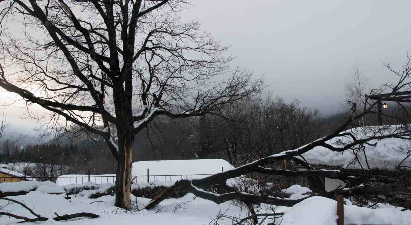 Meteo di aprile: ma davvero ci aspetta freddo e neve? Ecco le previsioni aggiornate