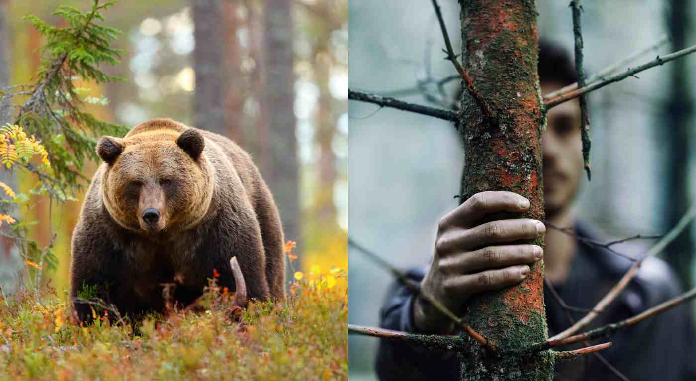 "Ti trovi sola in un bosco, preferisci incontrare un uomo o un orso?": la domanda alle donne sta facendo il giro del web - le risposte al video fanno riflettere