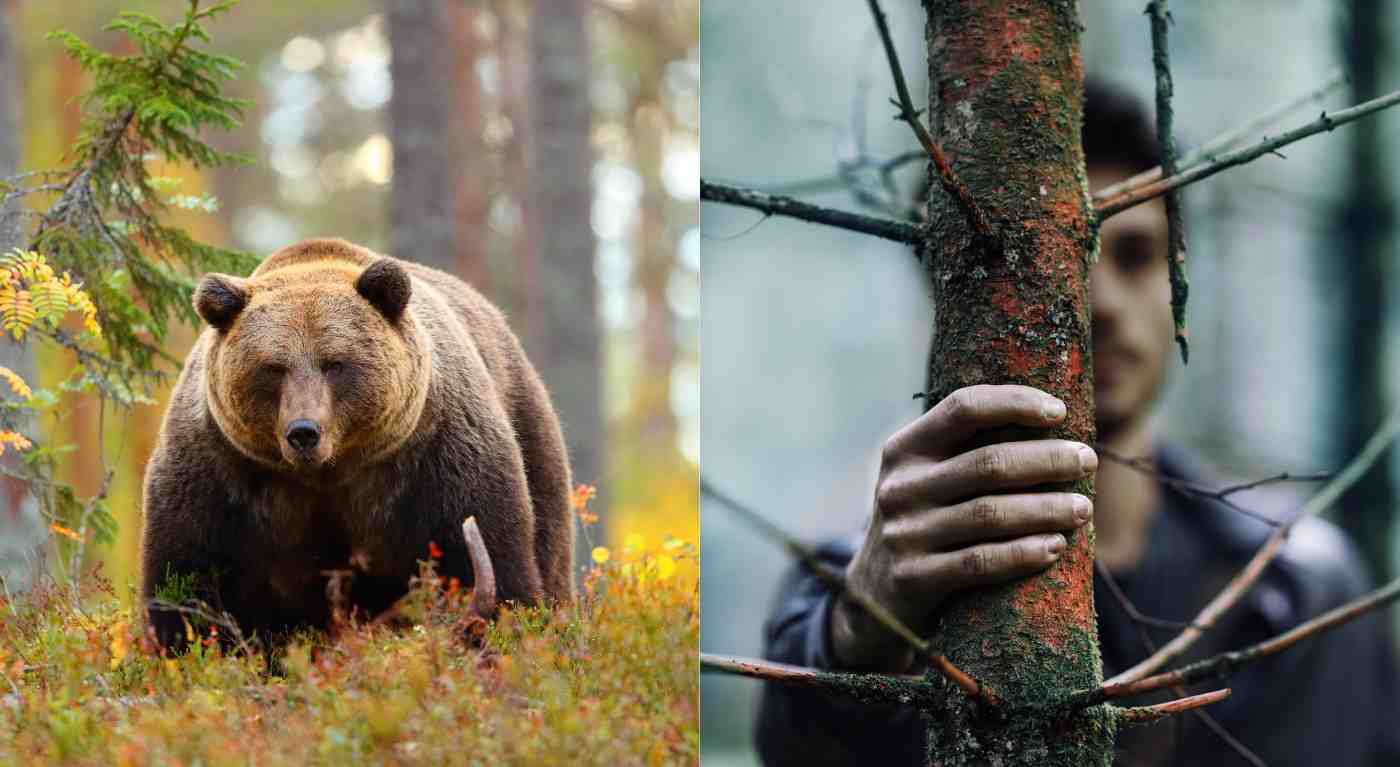 "Ti trovi sola in un bosco, preferisci incontrare un uomo o un orso?": la domanda alle donne sta facendo il giro del web - le risposte al video fanno riflettere