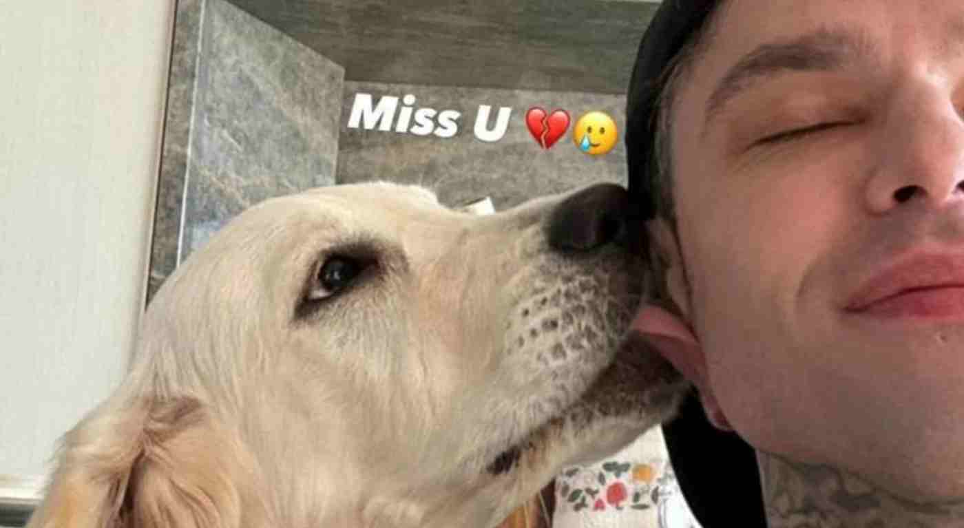 "Non è un oggetto". Fedez torna dall'ospedale con un cane nuovo (e non è Paloma): il duro attacco dei fan