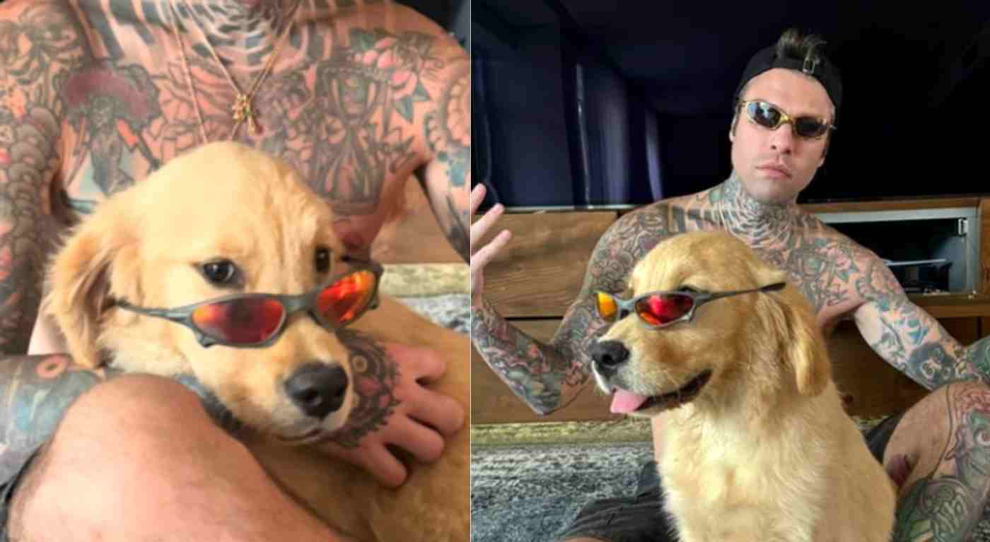 "Non è un oggetto". Fedez torna dall'ospedale con un cane nuovo (e non è Paloma): il duro attacco dei fan