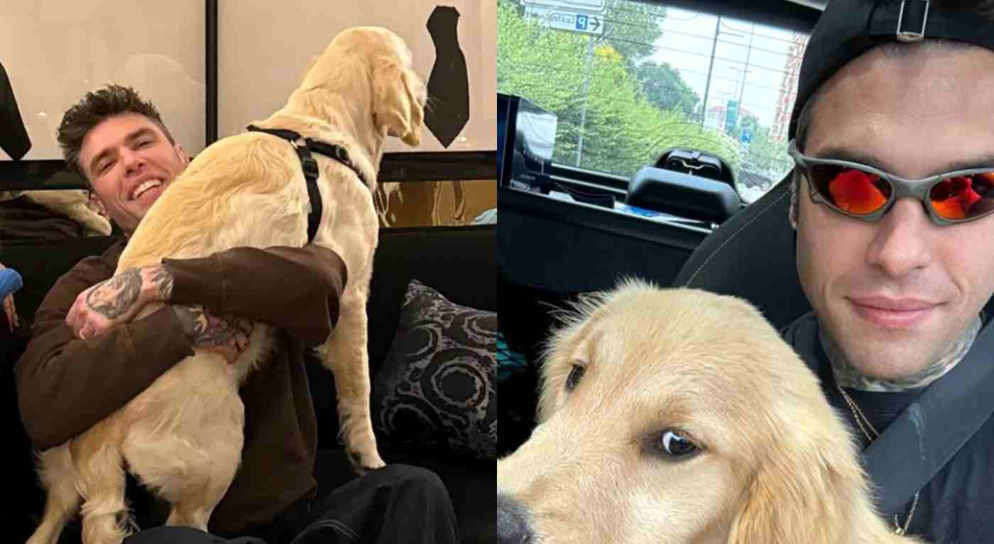 "Non è un oggetto". Fedez torna dall'ospedale con un cane nuovo (e non è Paloma): il duro attacco dei fan