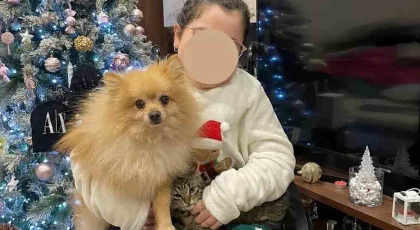i ladri restituiscono il cane alla bimba disabile